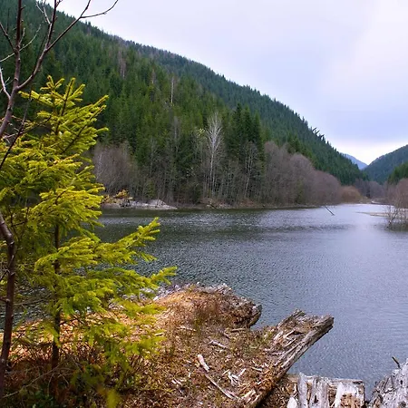 Dream Carpathians 旅馆 拉希夫