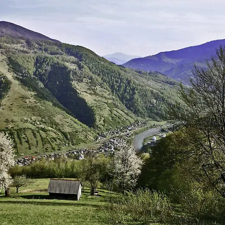 旅馆 Dream Carpathians 拉希夫