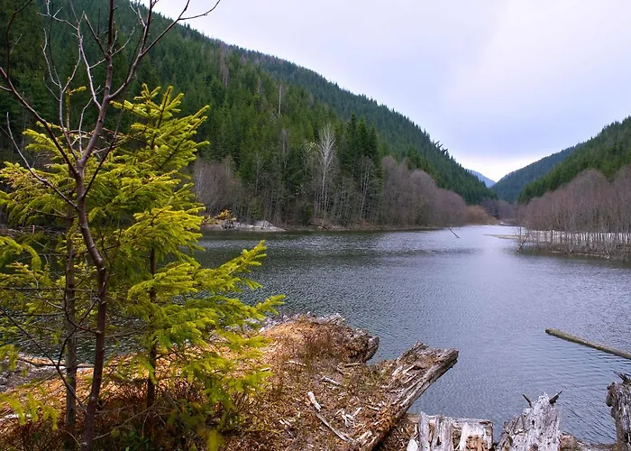 Dream Carpathians 旅馆 拉希夫