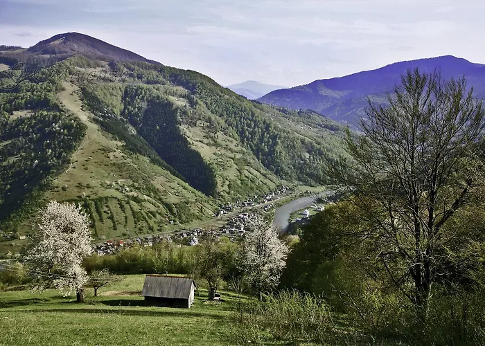 旅馆 Dream Carpathians 拉希夫